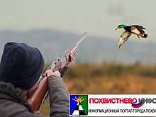 В Самарской области нерадивые охотники обстреляли дачников вместо уток