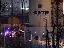 "Новатэк" полностью восстановил работу терминала в Усть-Луге под Петербургом