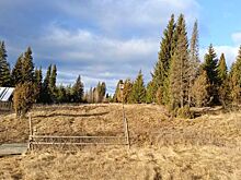 Жителям Удмуртии предложили выбрать название для этнопарка у села Бураново