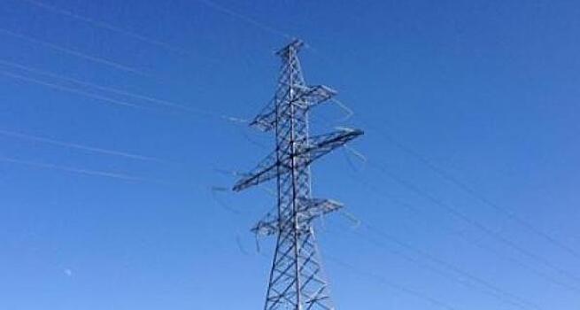 Кировское предприятие оштрафовали за строительство линии электропередач в городском парке