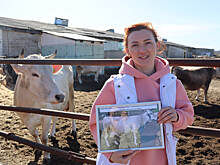 Костромскому губернатору подарили фото любимой коровы