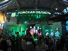 Самые необычные гербы городов Томской области: семантика цветов и символов