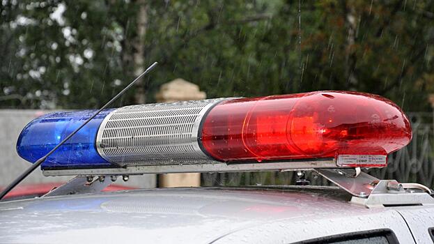 Два подростка в Вологде отправились кататься на родительских машинах