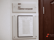 Депутаты обжалуют решение суда по границам челябинского бора