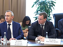 Малков и Панфилова отказались от мандатов депутатов Рязанской облдумы