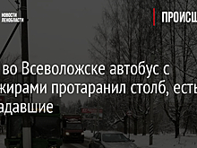Фото: во Всеволожске автобус с пассажирами протаранил столб, есть пострадавшие