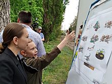 Сразу шесть детских площадок приведут в порядок в Миллерове