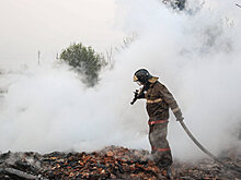 Следователи возбудили дело о халатности из-за пожаров в Красноярском крае