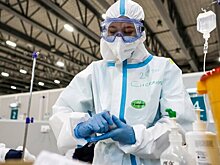 Вирусолог назвал срок выздоровления после заражения оспой обезьян