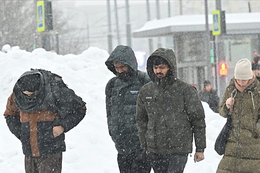 На производстве замороженной рыбы трудились 80 нелегальных мигрантов в Екатеринбурге