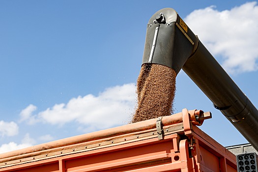 Ставрополье нарастило экспорт сельхозпродукции в Грузию на 26%