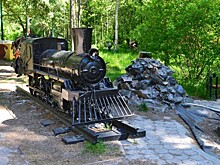 Заельцовский парк в Новосибирске закроют на реконструкцию 15 апреля