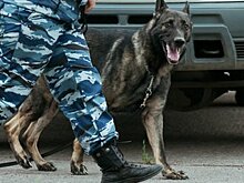 В Москве эвакуируют ТЦ