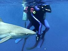 10 ужастиков, основанных на реальных событиях