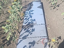 В Аксайском районе казак сбил украинский БПЛА из охотничьего ружья