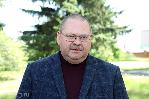 Мельниченко сообщил об итогах поездки в Мокшанский район