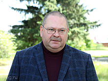 Мельниченко сообщил об итогах поездки в Мокшанский район