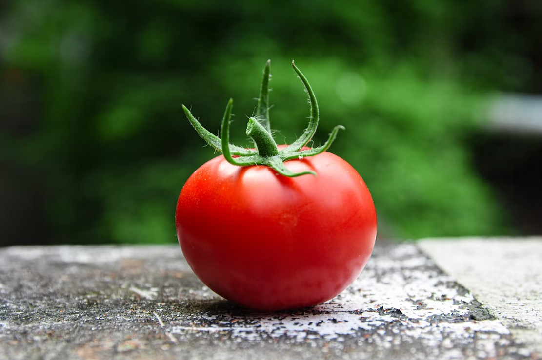 Зачем выращивать овощи в космосе