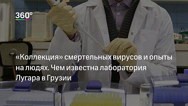 В Грузии рассказали о проверке центра Лугара, проведенной экспертами из ООН