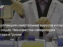 В Грузии рассказали о проверке центра Лугара, проведенной экспертами из ООН