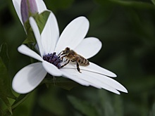 Анонсы событий и мероприятий на 5 сентября (18+)