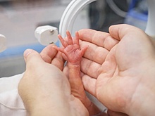 За неделю в Калуге родилось 70 детей