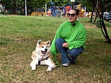 Как акита-ину следит за чистотой подмосковных улиц