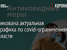 Опубликована актуальная инфографика по covid-ограничениям в Ленобласти