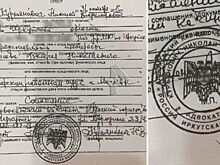 Адвокат по делу журналиста РБК Соколова использовал в документах свастику