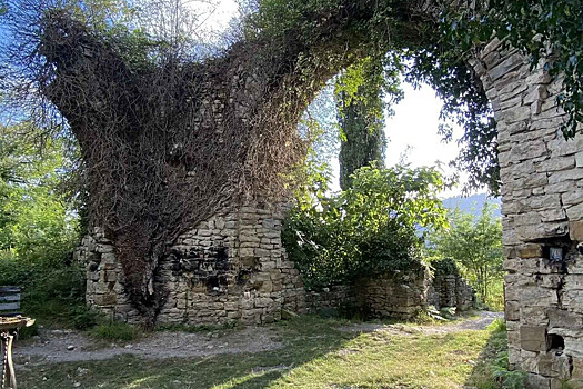 Развитие туризма в Краснодарском крае: количество маршрутов выросло в 15 раз