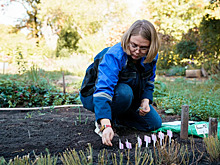 В Самарском ботсаду биологи высадили семена, побывавшие в космосе