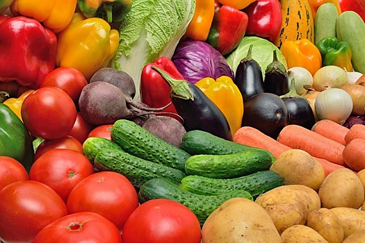 России нужно 7-12 лет, чтобы создать конкурентоспособные гибриды овощей