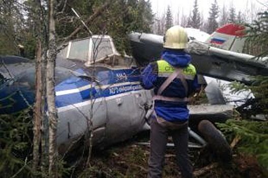 «Совершил чудо». Как командир АН-2 посадил самолет в лесу под Архангельском