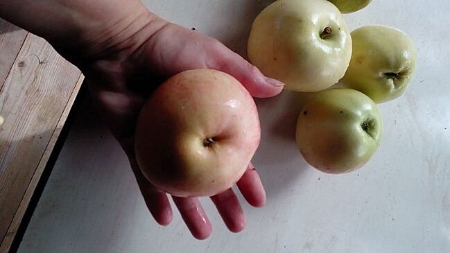 Почему яблочная клетчатка так полезна и как ее заготовить в домашних условиях