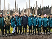 В Перми отметили 100 лет со дня утверждения границ городского лесничества