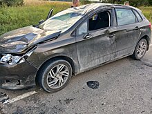 Два ДТП с пострадавшими произошло в Удмуртии из-за лосей