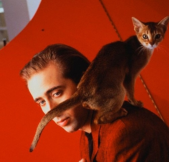 Николас Кейдж со своим котом.