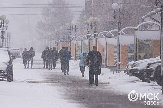 Тёплая погода несёт в Омскую область снег и метели