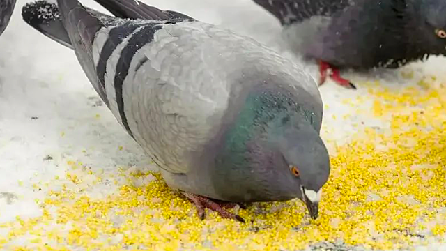 Народные приметы на 25 марта 2022 года: что нельзя и что нужно делать