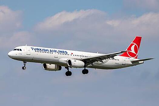 Летевший из Стамбула в Москву самолет приземлился в Литве из-за сбоя