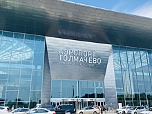 Бастрыкин заинтересовался конфликтом в аэропорту Толмачево в Новосибирске