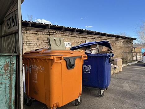 Экологический надзор выявляет нарушения на мусорных площадках