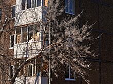 В России заявили о тревожном тренде с покупкой квартир на вторичке