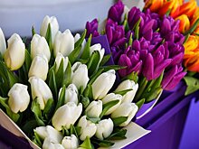 Россиян предупредили о возможном подорожании цветов к 8 Марта