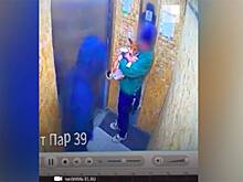 Россиянин избил зашедшего в лифт со щенком 13-летнего мальчика и попал на видео