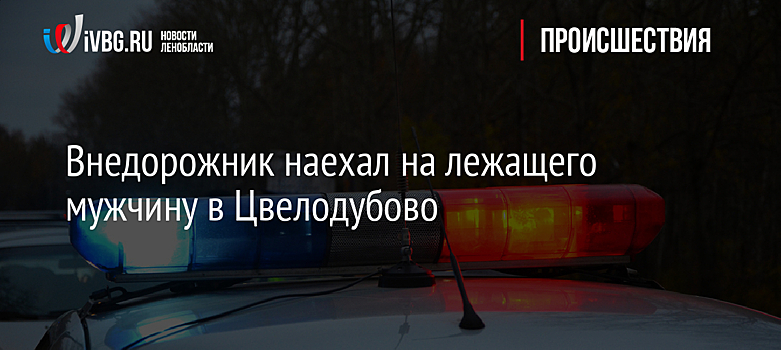 Внедорожник наехал на лежащего мужчину в Цвелодубово