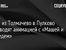 Рейсы из Толмачево в Пулково сопроводят анимацией с «Машей и Медведем»