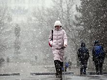 Вильфанд допустил сокращение зимнего периода в России