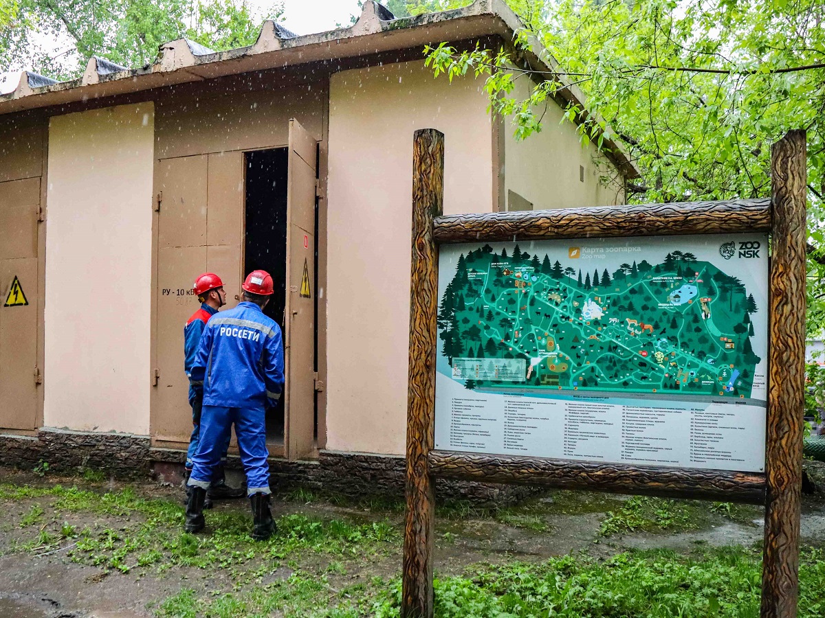 В Новосибирском зоопарке модернизировали электрические сети
