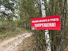 Более 55 кубометров мусора вывезли с территории Кстовского районного лесничества в рамках акции «Чистый лес»